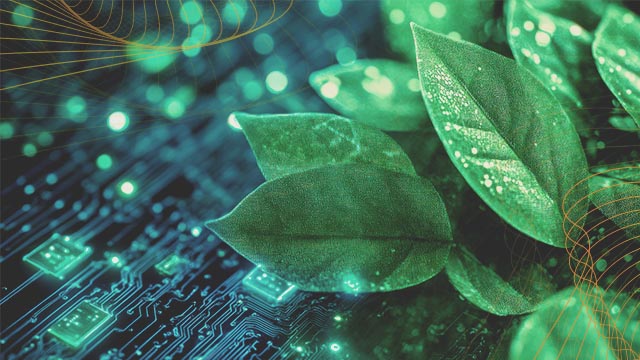 By migrating to the cloud, you protect the environment!