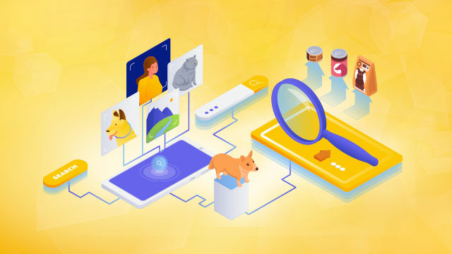 Implementation of infrastructure for Pimcore in the Google Cloud Platform (GCP) environment