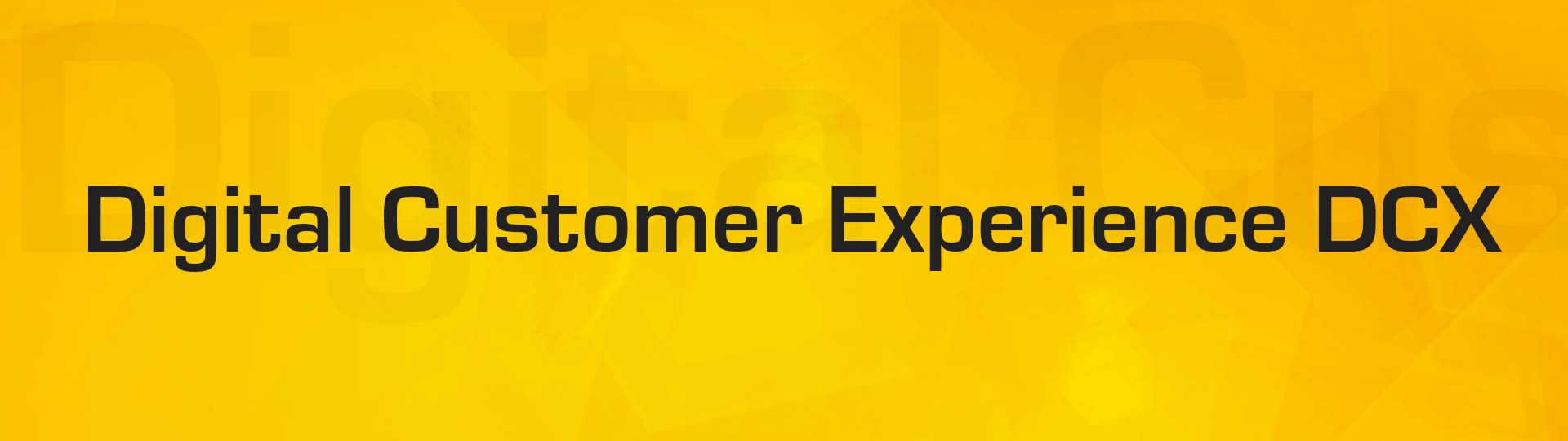 AWS Digital Customer Experience DCX